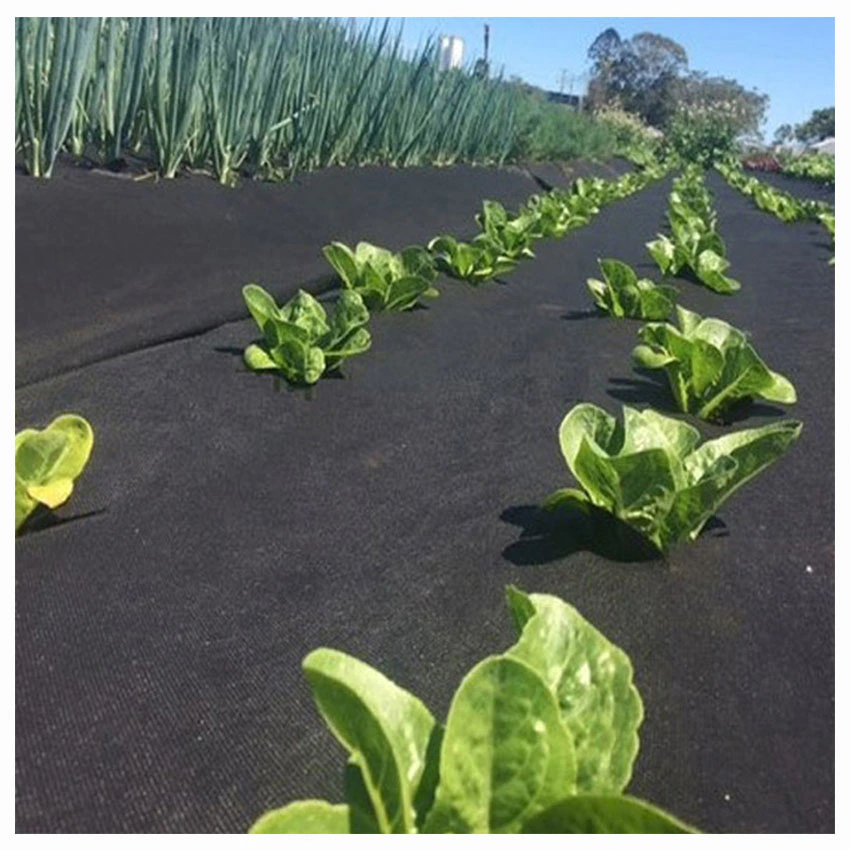 Custom factory Weed control Landscape PP nonwoven fabric