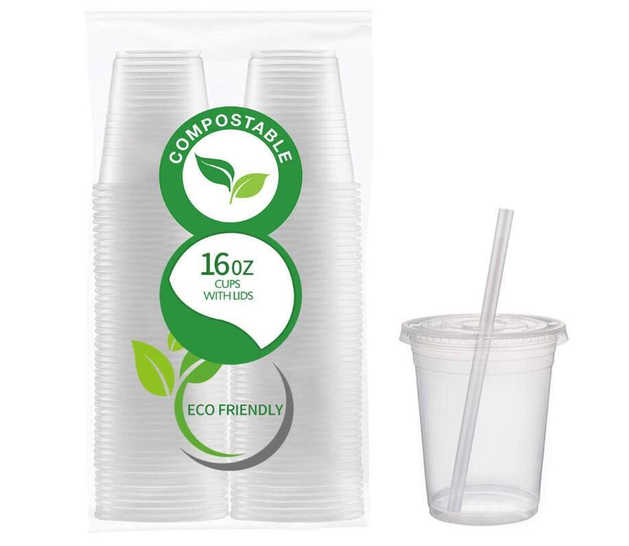 Compostable disposable coffee/tea/drink cup customized Pla coated paper cups