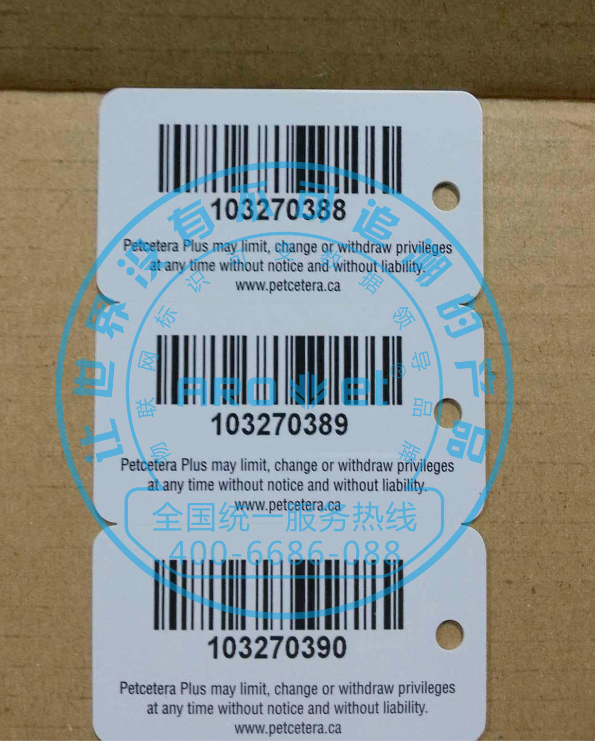 UV Dod Labels Plastic Cards Online Target Printing System