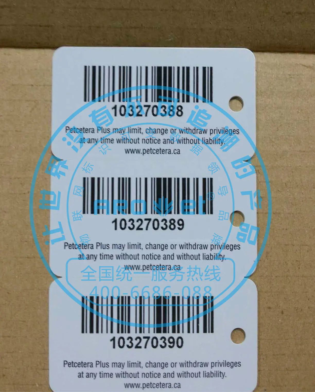 PVC Card Barcode Qr Code UV Dod Printing Machine