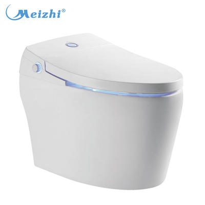 Sanitary ware ceramic asian type toilet wc automatic