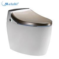 Automatic flush toilet smart heated toilet seat bidet