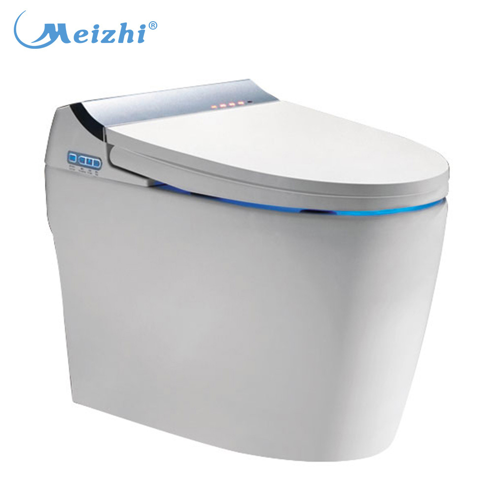 Manufacturer massage wash automatic flush toilet for sale