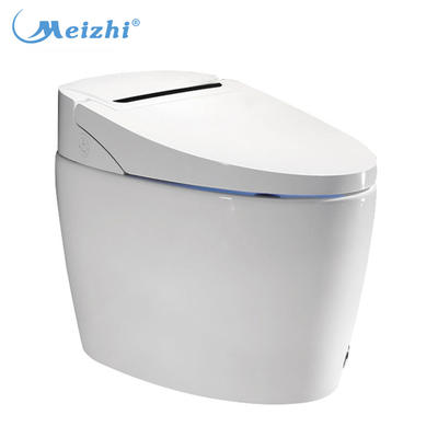 Eastern ceramic automatic flush smart water closet