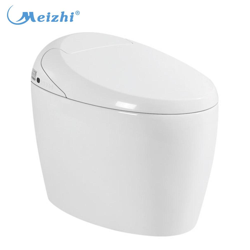 Family use luxury smart toilet made in China