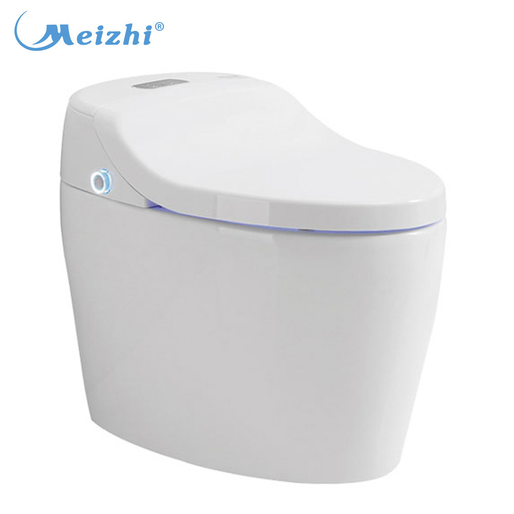 Japanese automatic flush toilet home