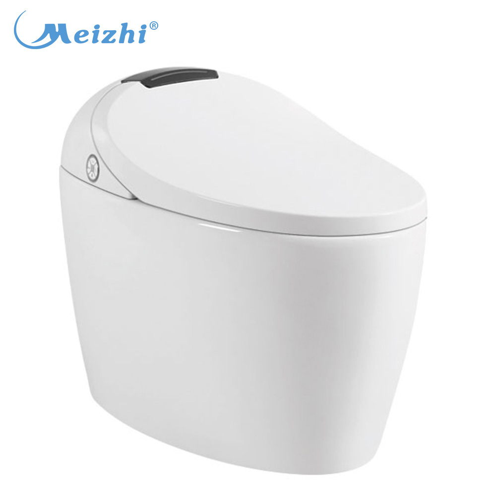 Smart toilet bidet with intelligent control