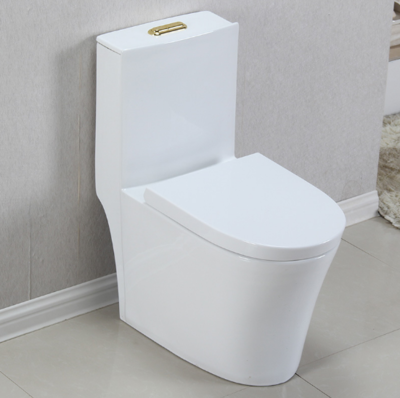 Water saving ceramic one piece toilets with flushing system