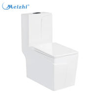 Dual-flush one piece ceramic wc toilet sanitary