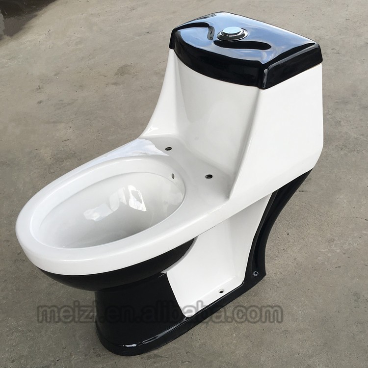 Decal bathroom toilet bidet combined
