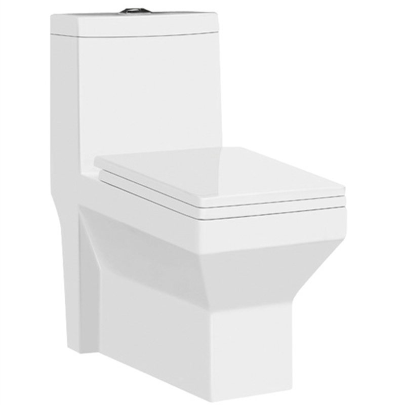 Washdown Porcelain Sanitary Ware Floor flush toilet