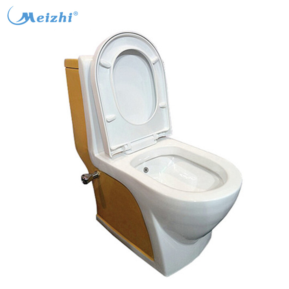 Sanitary ware one piece washdown toilet with bidet