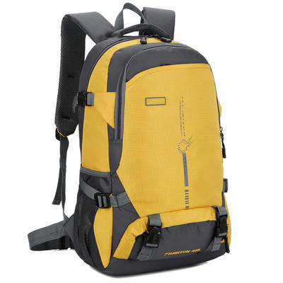 2020 Customized Waterproof Sports Travel Backpack Bag