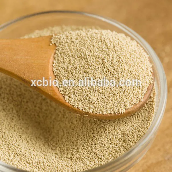 Manufacture of Nutritional Yeast Flake