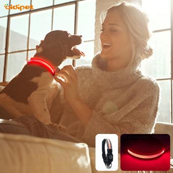 Small Led Dog Collar 1.5cm Width Suits for Small Puppy XXS XS Flashing Light Pet Collar Night Safety USB Led Dog Necklace