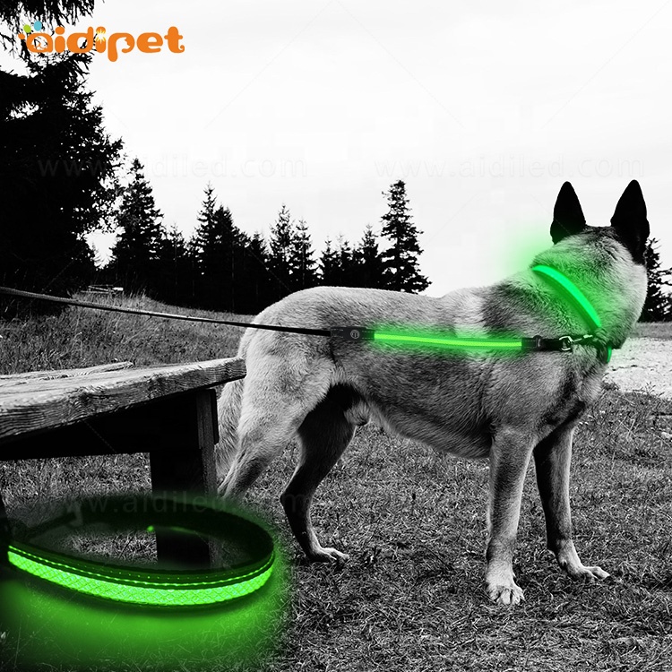 Reflective Led Flashing Pet Dog Leash and Collar Set with Led Light for Small Dogs Tiny Dog Collar Lesh with Led