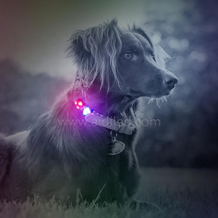 Waterproof Silicone Soft Led Lights Glowing Collar Pendant for Dog Clip-on Led Dog Collar Flashing Light Three Leds