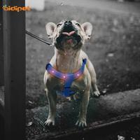 Nylon Dog Pet Safety LED Flashing Light Harness LED Leash Collar Vest