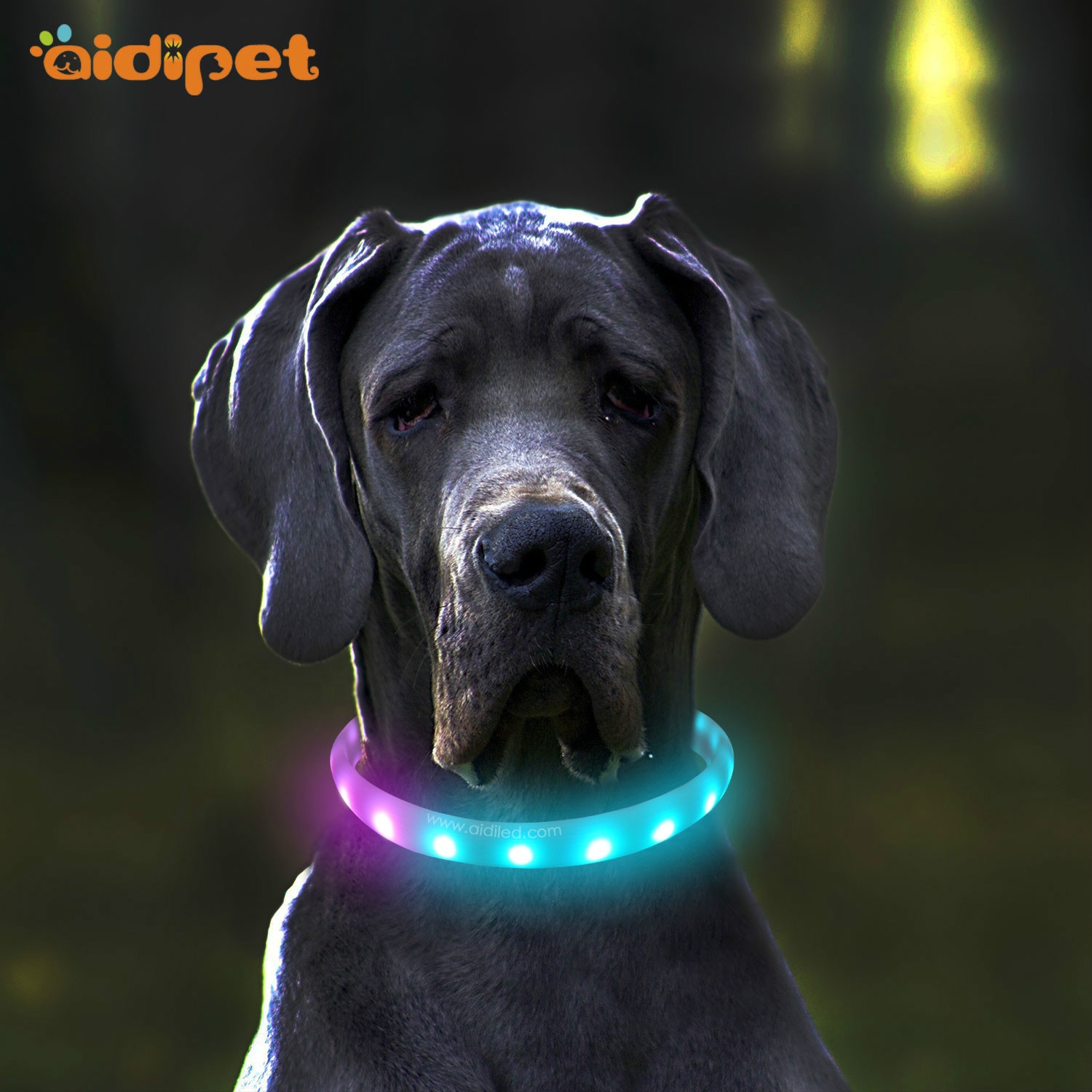 USB Led Dog Collar Rainbow Color RGB Flashing Pet Accessory Collar for Night Walk Custom Logo Cuttable Puppy Led Collar
