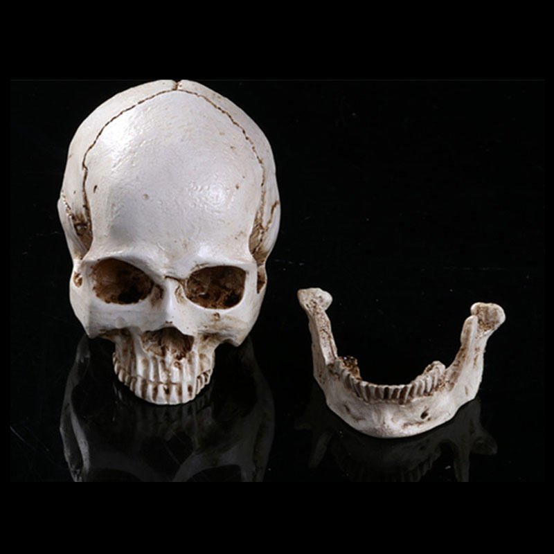 Mini Skull Head Halloween Skull Ornament Decorative Sculpture Gift for Halloween Resin Simulation Skull