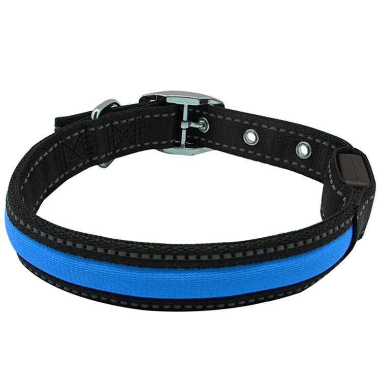 Pet Accessory Fashioned Flashing Remarkable Security Led Dog Collars Wholesale in stock