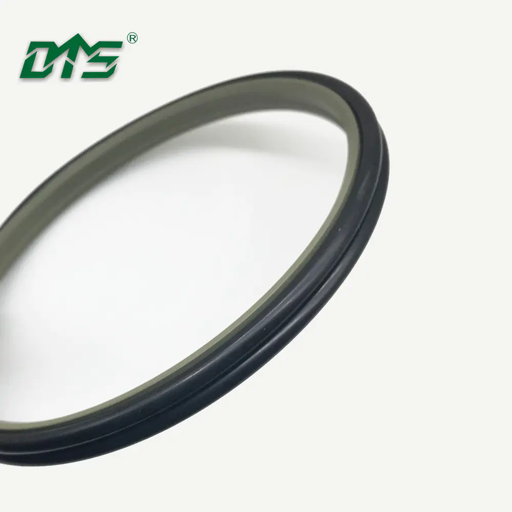 Bronze PTFE excluder double acting scraper seal DPT1