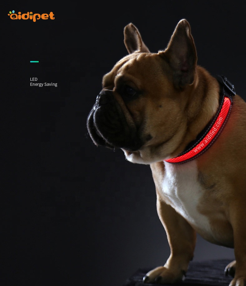 Small Waterproof Cat Dog Rechargeable Flashing Collar XS XXS Size ofBest Light Up ODM Collar for Bad Weather