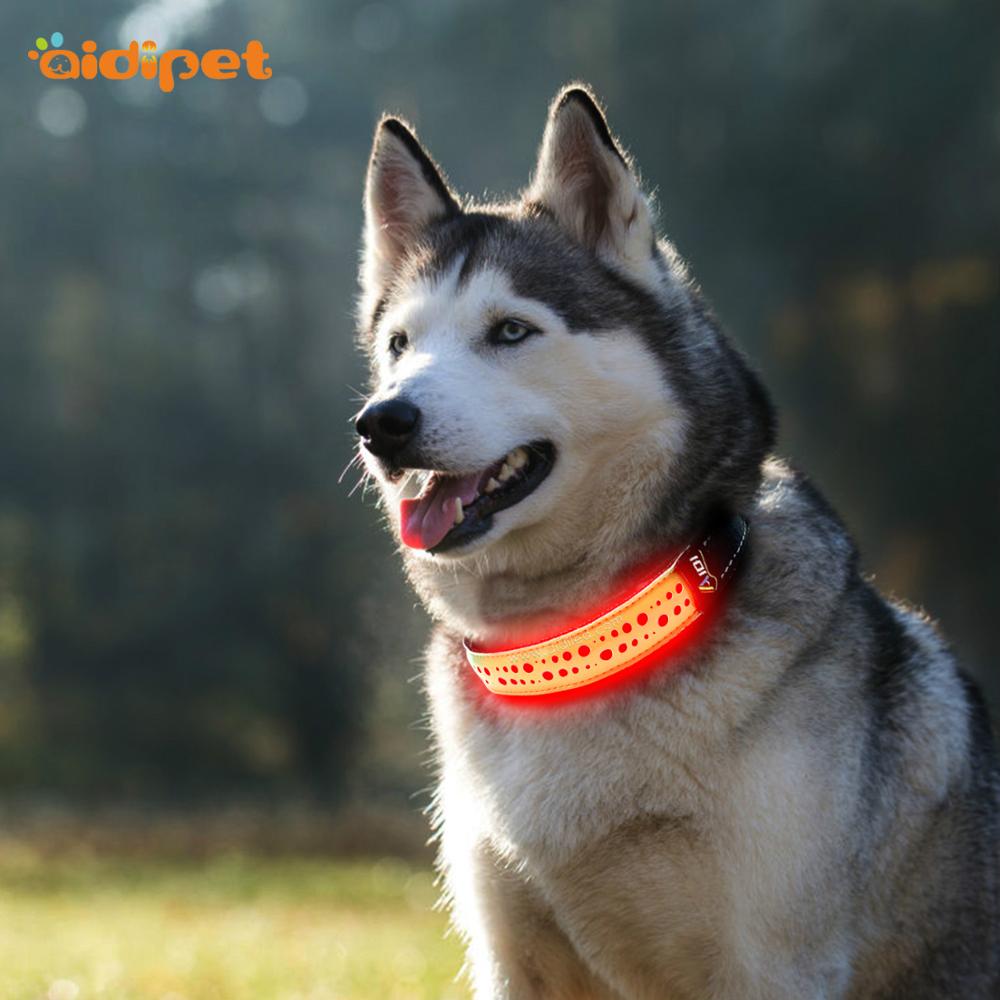 Rechargeable Adjustable hot sale Flashing Led Dog Collar