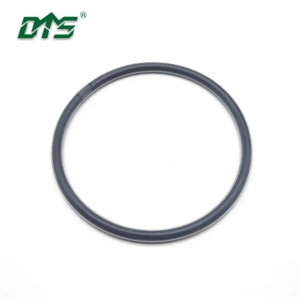 Rubber Coated O Rings,PTFE/ FEP PFA Coated O Ring