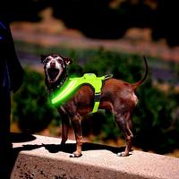 Dual Optical Fibers Dog Harness Vest with Led Suits for Mask Three Flashing Modes Outdoor Led Lighted Dog Harness