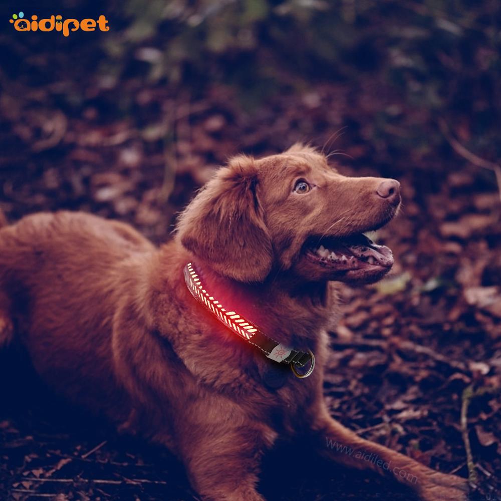 High Light Glowing Leather Dog Collar, Adjustable Led Dog Collar And Leash