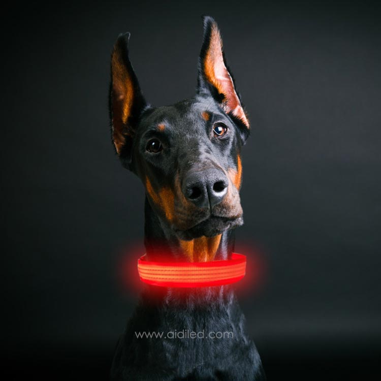 2020 hot sale flashing Led reflective dog collar Custom make