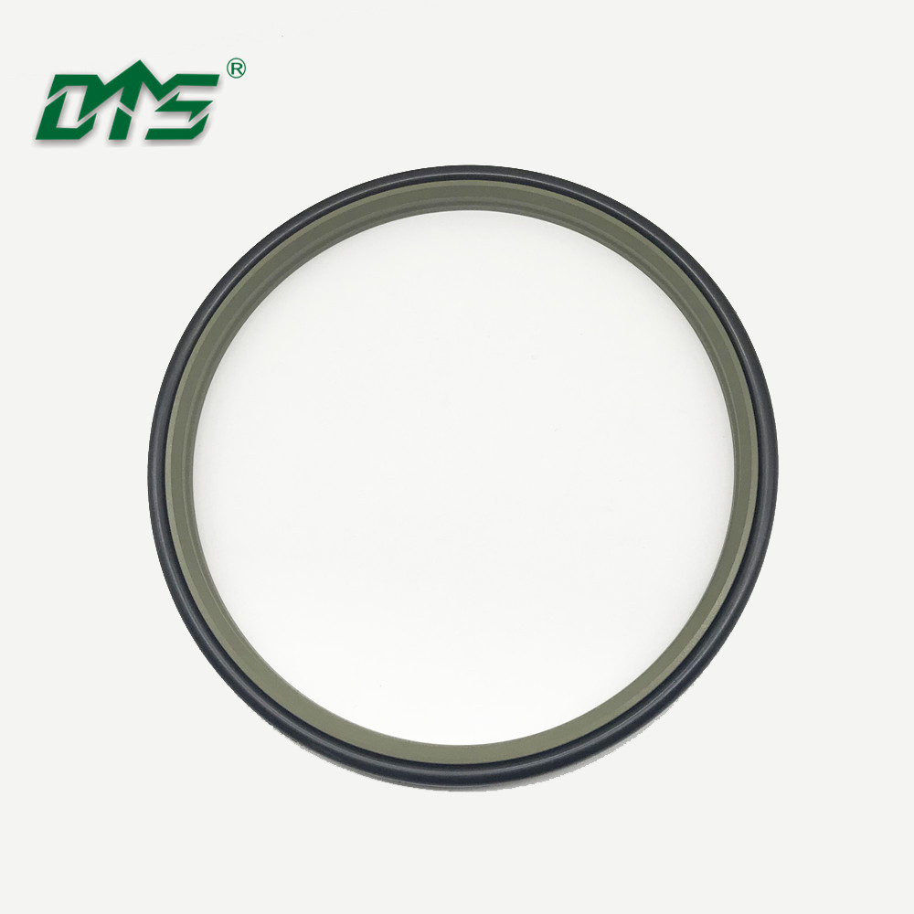 DMS Seals Custom wiper ring company for injection molding machine-28