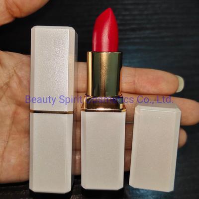 OEM Customized Long Lasting Lipgloss Cosmetics Makeup Matte Lipstick