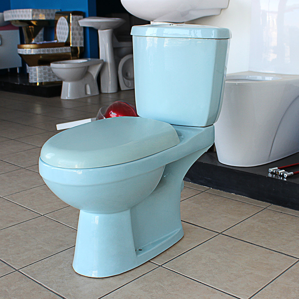 High quality economic washdown blue color toilet for sale
