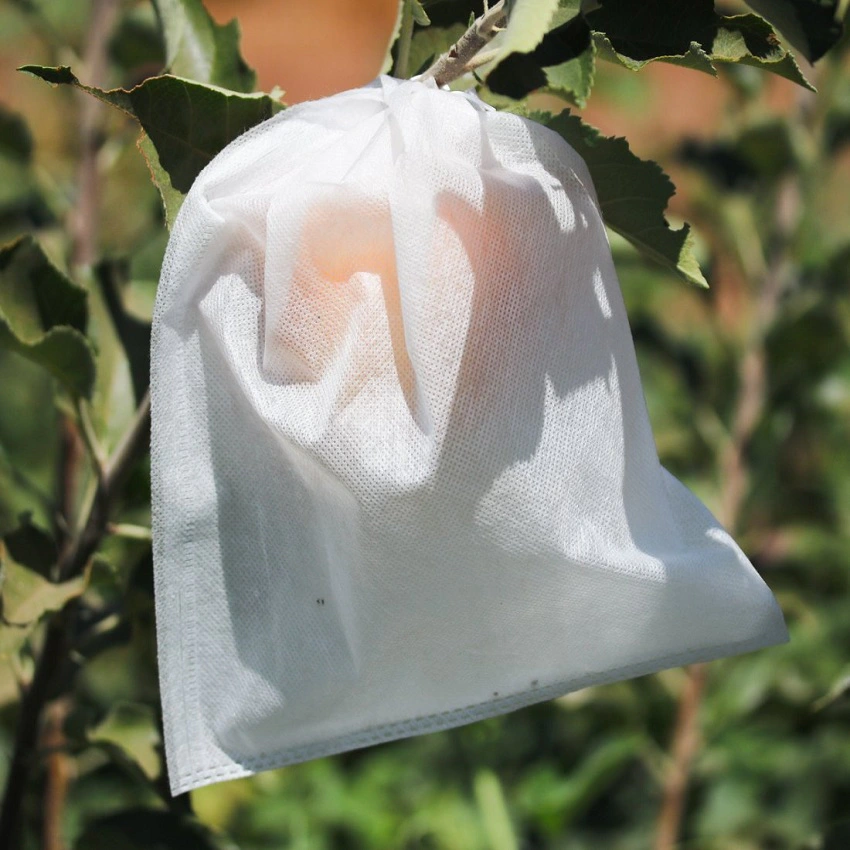 Factory direct environmental protection agricultural PP non-woven fruit bag environmental protection