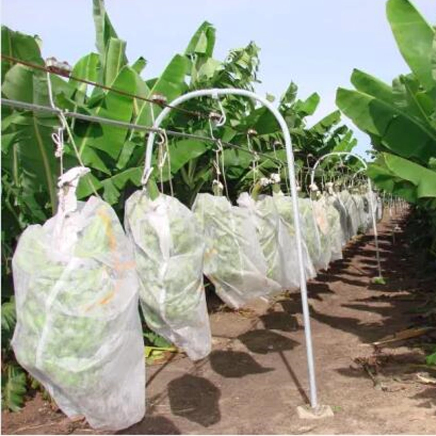 eco packaging bags nonwoven fabric used for fruit bag