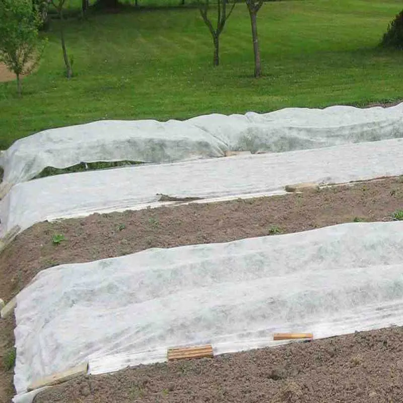 Manufacturer custom agricultural film PP non-woven fabric weed controll membrane for agriculture