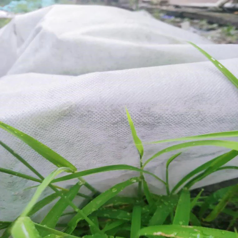 Wholesale price UV Treated Nonwoven for Agriculture Cover