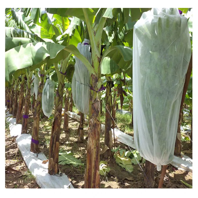 Manufacturers custom-made agricultural non-woven fruit bags are environmentally friendly and clean without pollution