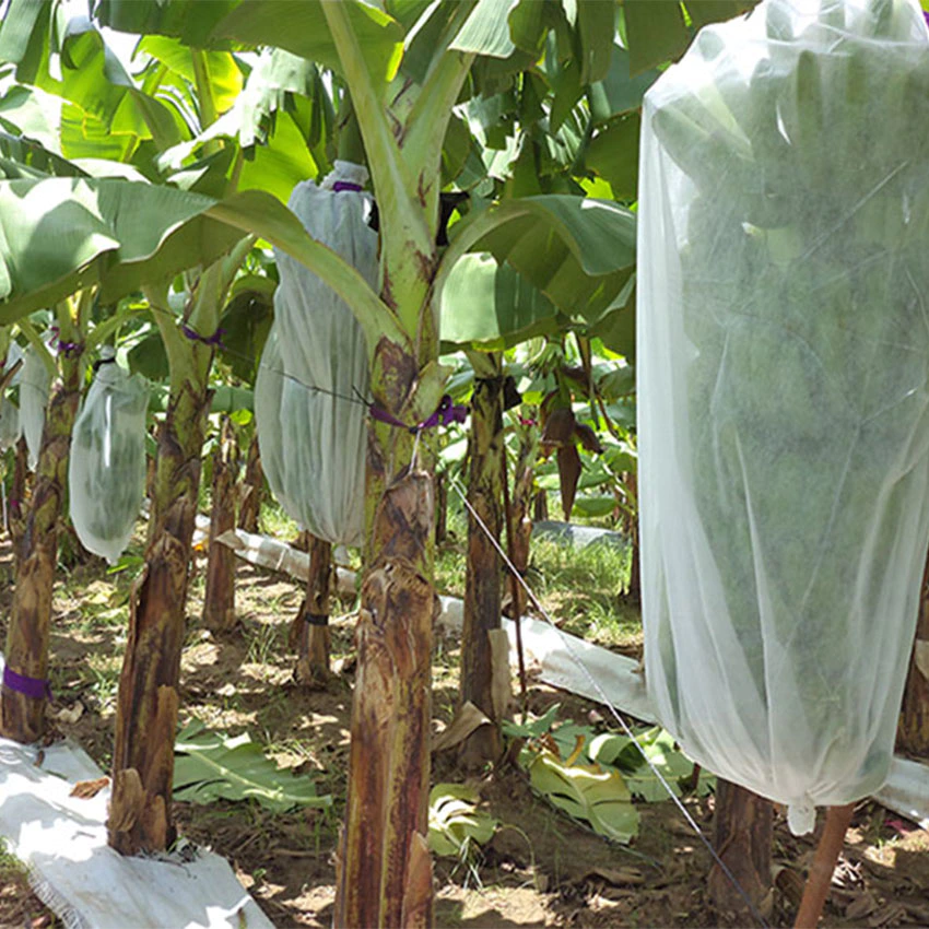 Guangdong spunbond nonwoven fabric suppliers 100% pp nonwoven fabric used for crop cover