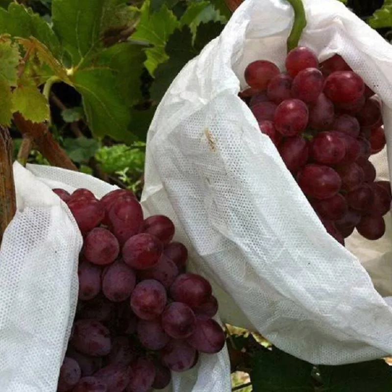 Manufacturers custom-made agricultural non-woven fruit bags are environmentally friendly and clean without pollution