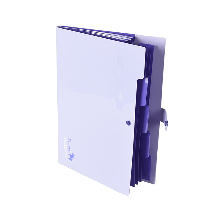 Good Quality Hard Cover PP Plastic Expanding File Folder , A4 PP Office File Folder