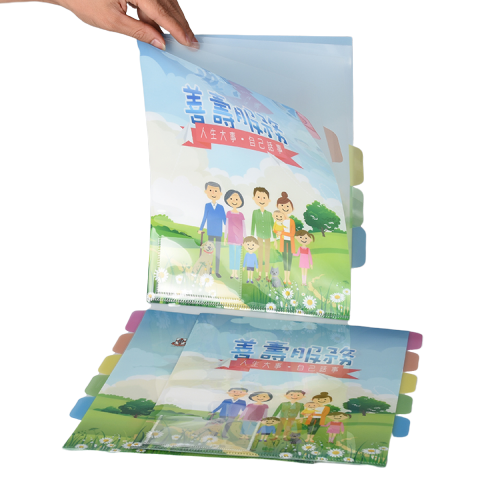 Clear New Document Display Book B4 Size Custom Pocket Pp Plastic File Folder for Promotion