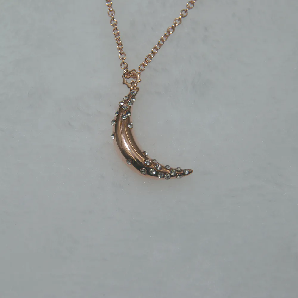 Joacii Wholesale 18K Rose Gold Plated Crescent Shaped Sterling Silver Necklace