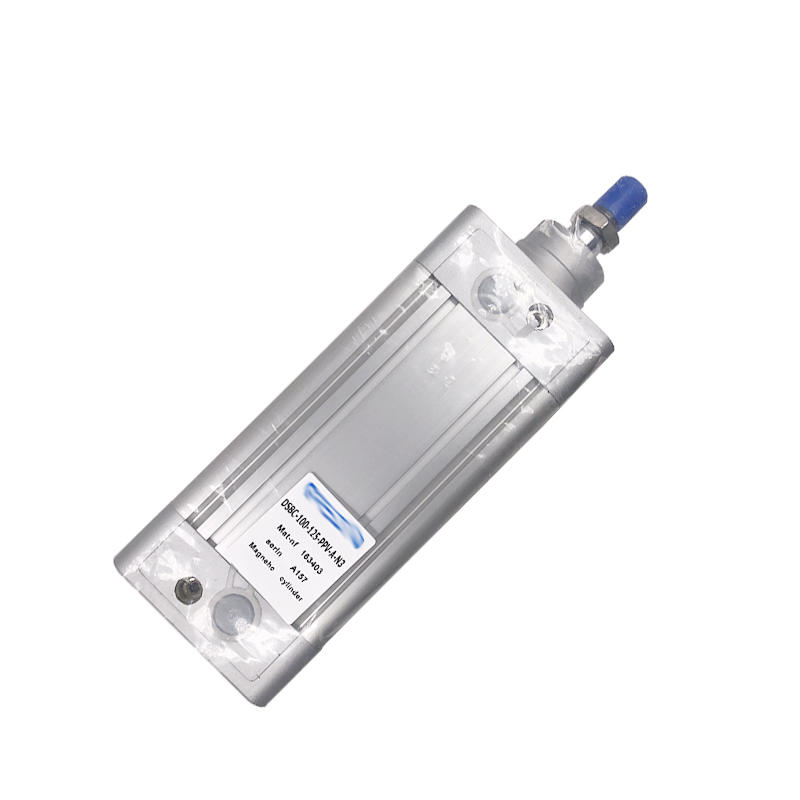 DSBC Series Based Cylinder 163403 DSBC-100-125-PPV-A-N3 Single Acting Air Pneumatic Cylinder