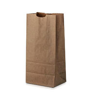 Retail plain kraft paper custom logo paper bags for pharmacy medicine packaging