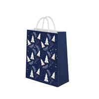 Wholesale Cheap Custom Design Shopping Paper Bags With Your Own Logo