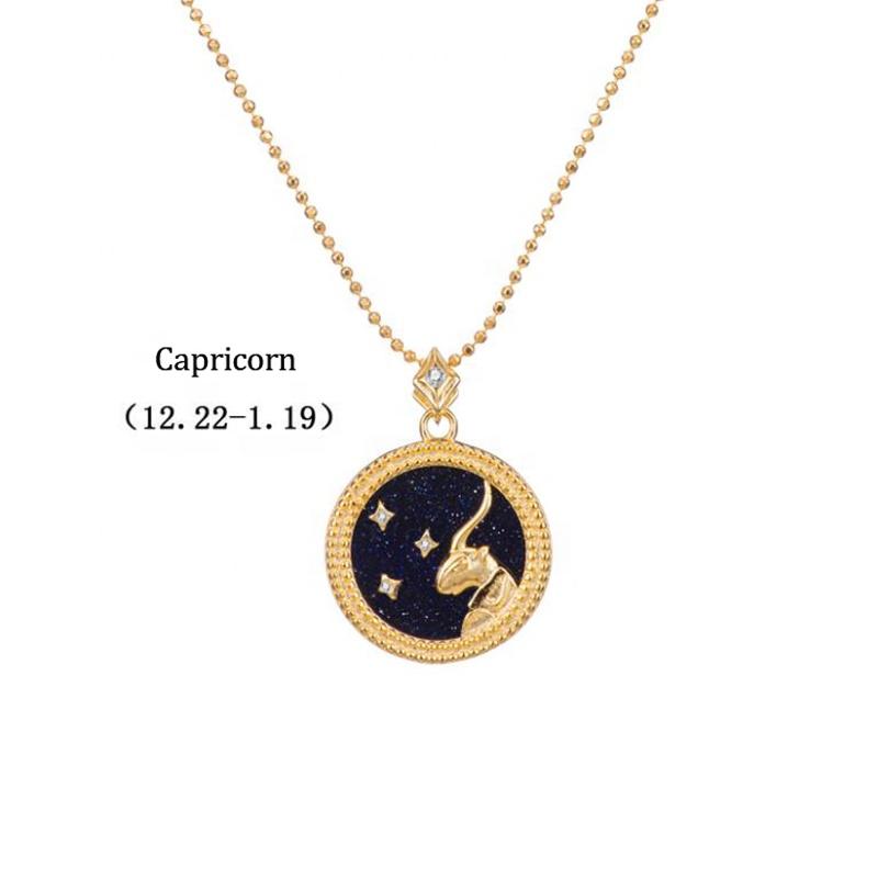 Birthday Jewelry Sign Capricorn 925 Silver Zodiac Charm Necklace