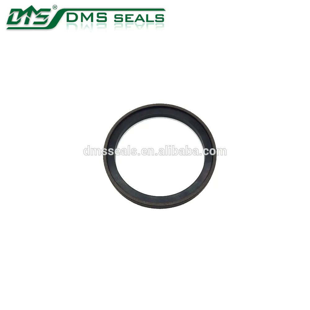 bronze PTFE piston seal for hydraulic cylinder sealing pump mechanical seal SPG